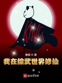 主角在综武世界修仙的