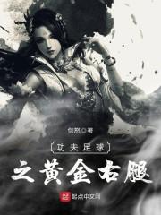 功夫足球黄金右脚