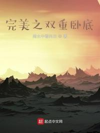 完美之双重卧底TXT全文