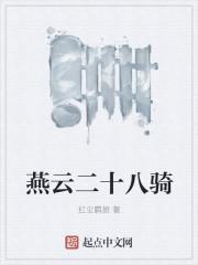 燕云十八骑后来怎么样