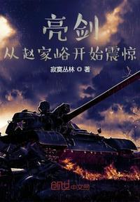 亮剑之赵刚