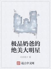 极品奶爸的文艺人生