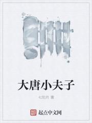 大唐小夫子 七阳月