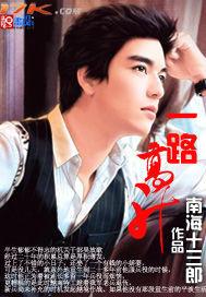 一路高升一路情完本