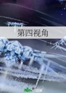 第四视角番外TXT