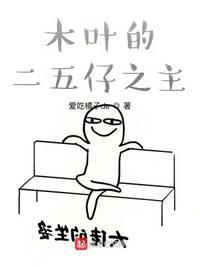 木叶25年