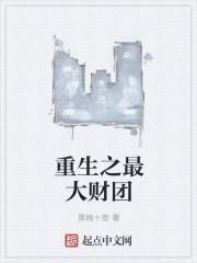 重生之最大财团黑桃十叁免费阅读