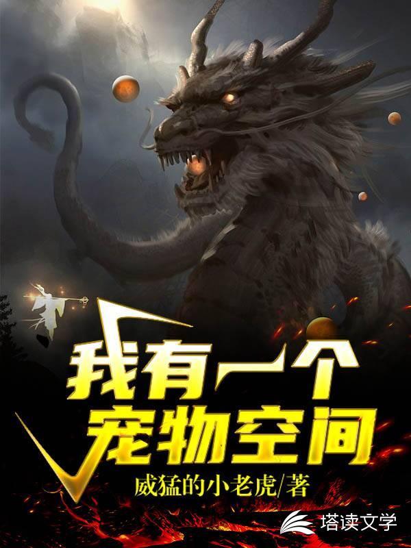 我有一个宠物空间女主