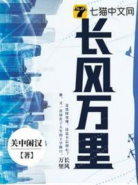 长风万里卫栖梧