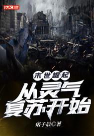 从末世崛起的原著