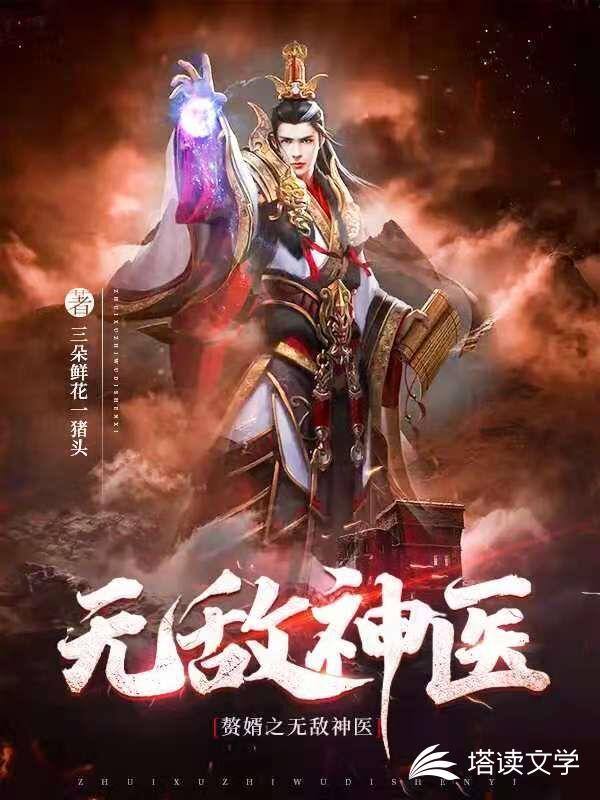 赘婿之无敌神医免费
