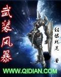 武装风暴204