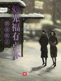 四合院之刘光福有点坏梦梦卫星