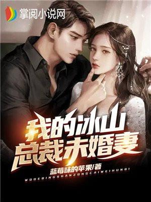 我的冰山总裁未婚妻在线阅读