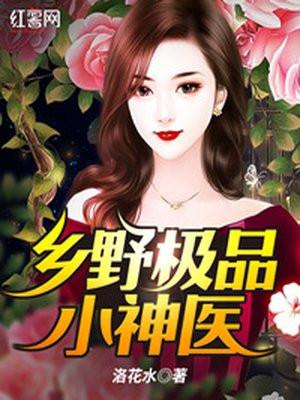 乡野极品小神医灵妃