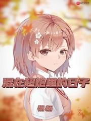 混在超炮里的日子顶点