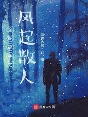 全职高手之风自南来