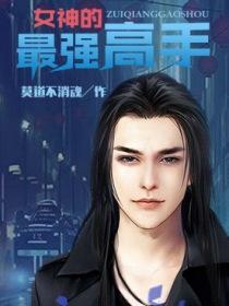 女神的最强高手叶皓辰有几个女人