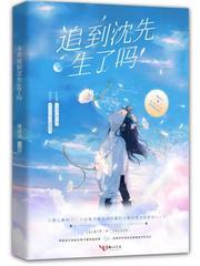 今天追到沈先生了吗TXT百度