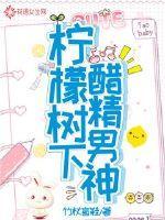 柠檬树下你和我免费阅读