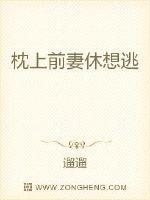 枕上前妻休想逃txt