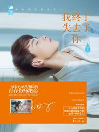 我终于失去了你这首歌的含义