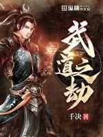 武道之主介绍