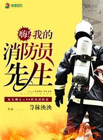 嗨!我的消防员先生txt宝书