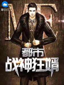 都市乏狂龙战神