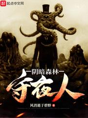 阴暗森林蓄电池有什么用