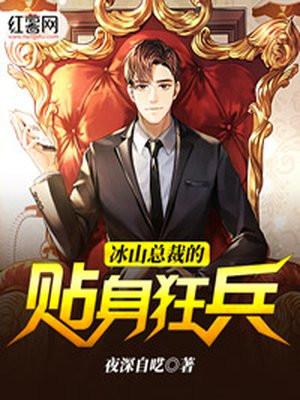 冰山总裁的贴身狂兵美女总裁的妖孽高手