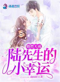 婚然天成陆先生的小幸运免费阅读