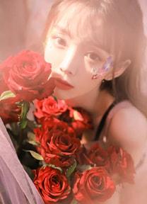 苏童北燕锦全文更新