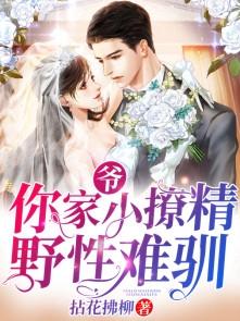 爷你家小撩精野性难驯一共多少章