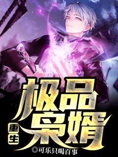 重生极品仙婿电视剧