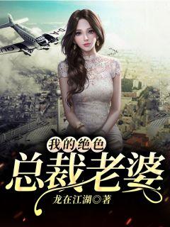 我的绝色总裁老婆燕北免费