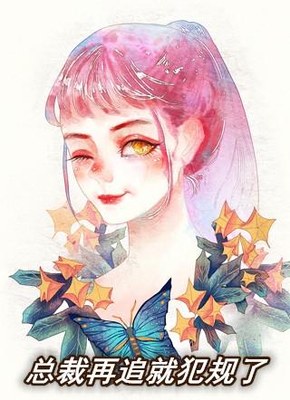 总裁再追就犯规了大致内容