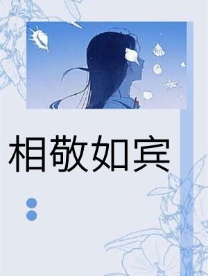 相敬如宾的下一句