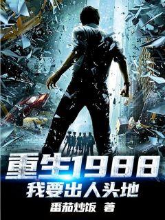 那本主角叫林小冬