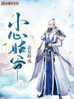 小心姑爷百度百科