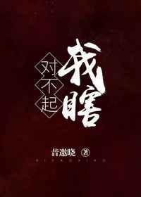 对不起我瞎女主会好吗