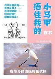 裹紧我的小马甲百度百科