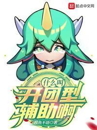 王者荣耀开团型辅助有哪些