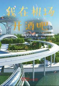 我在机场遇见了你歌曲