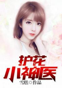 护花小神医什么时候更新
