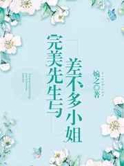 完美先生与差不多小姐TXT百度