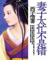 妻子太忙不是错最爱哪个男主