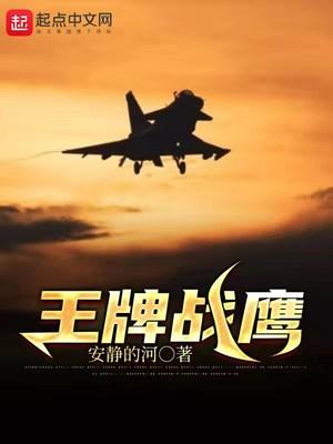 王牌战鹰 免费