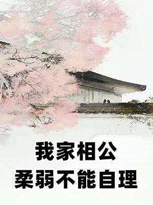 我家相公柔弱不能自理有声