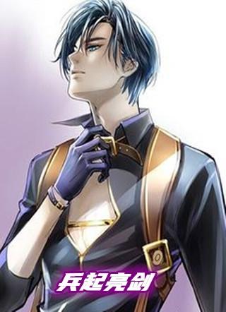 兵起亮剑免费完整版在线阅读